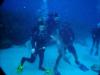 Christie petting a nurse shark in Belize