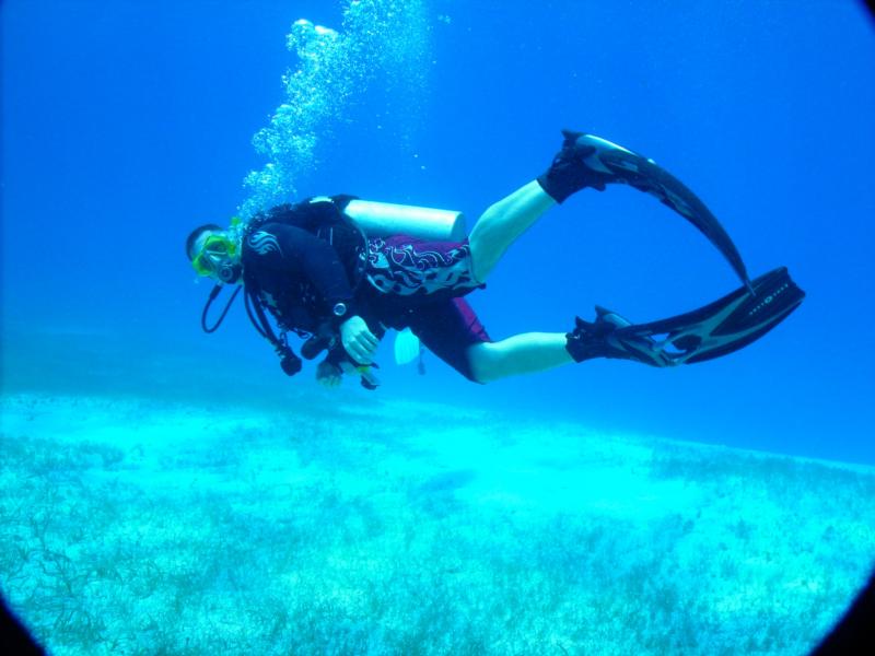 Squirt checking the dive buddy in Belize