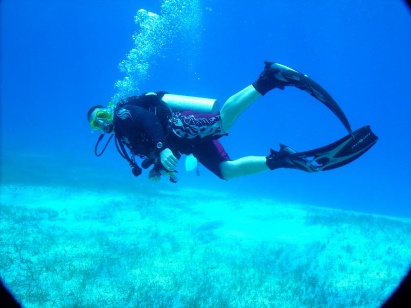 Squirt checking the dive buddy in Belize