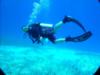 Squirt checking the dive buddy in Belize