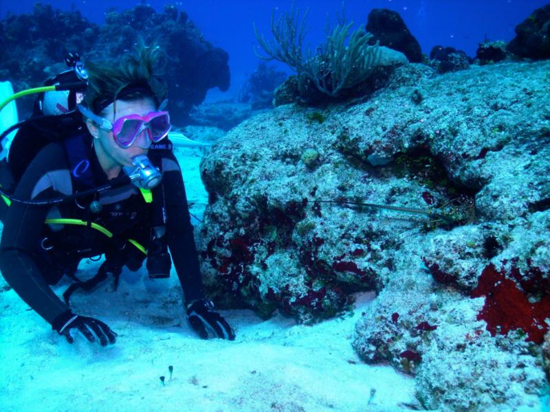 Lobsters (Cozumel)