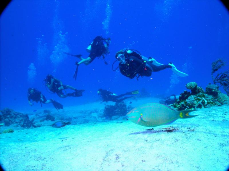 All gathered (Cozumel)