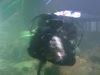 Me and My Buddy ( The Wolf Eel )