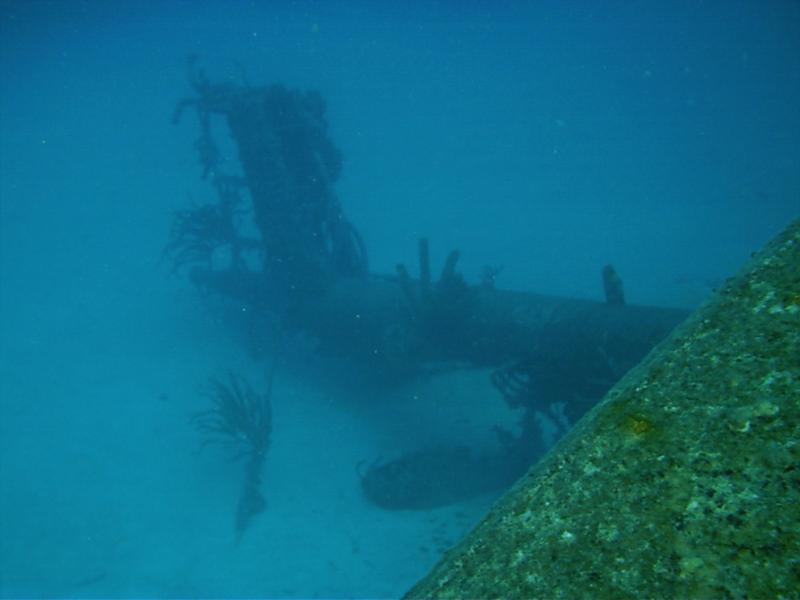 Hilma Hooker - Bonaire