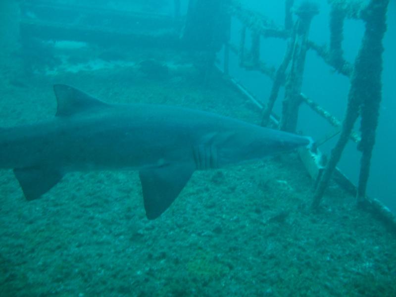 On Deck of the Spar