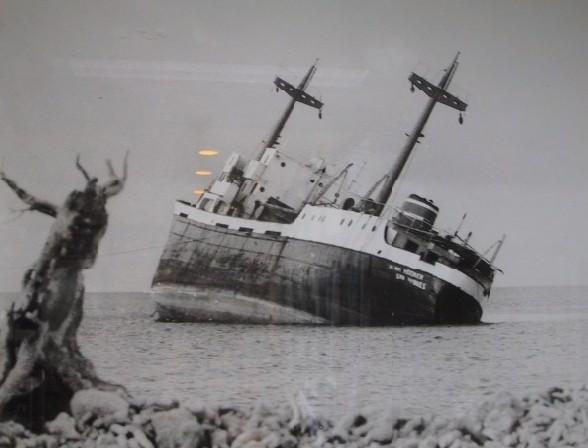 hilma hooker-bonaire