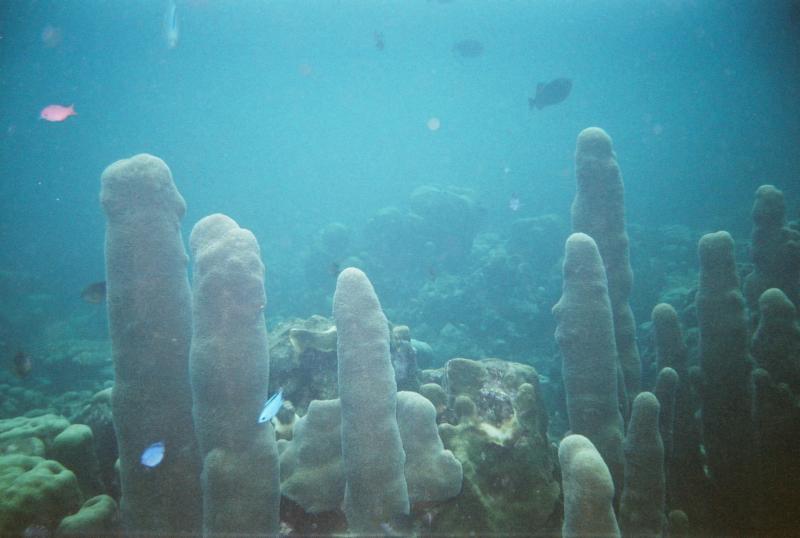 Aruba