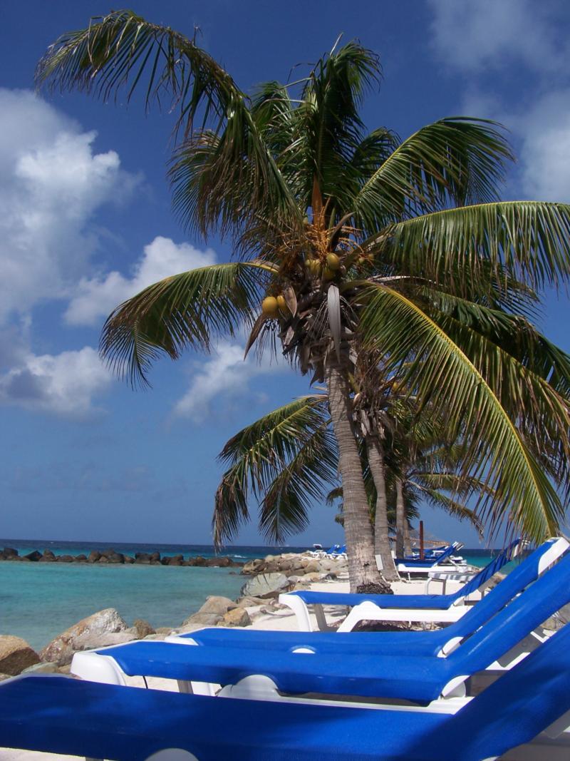 Resort Private Island-2