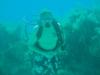 BOB ON THE REEF IN GRAND TURK