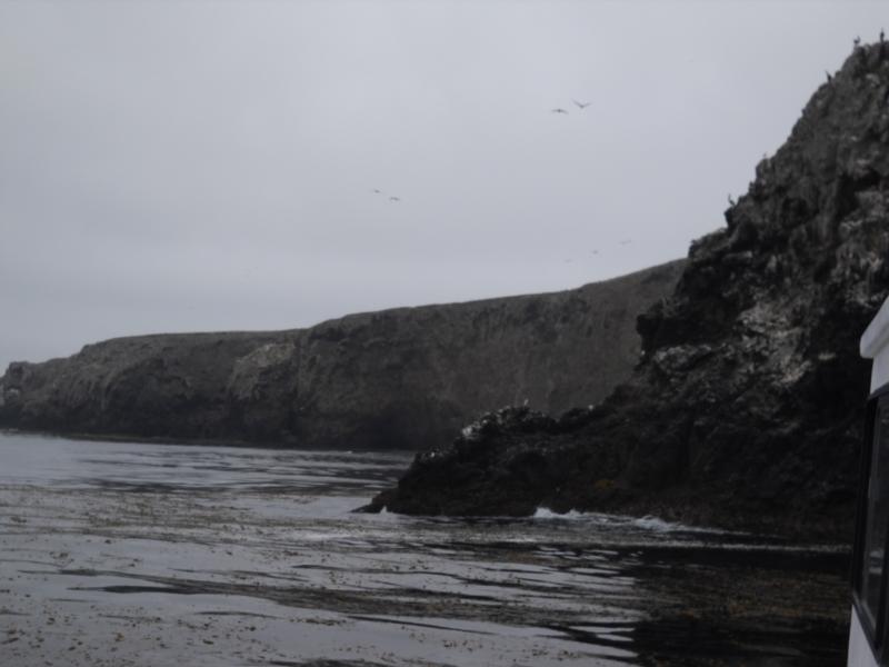 Anacapa Island Dive 