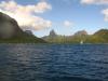 Moorea, diving from Paul Gauguin