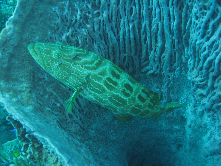Belize