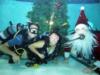 Underwater Santa 2008