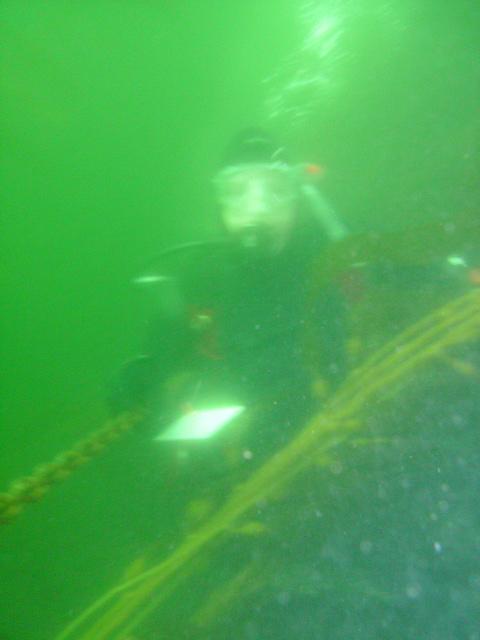 SeaMomster under water