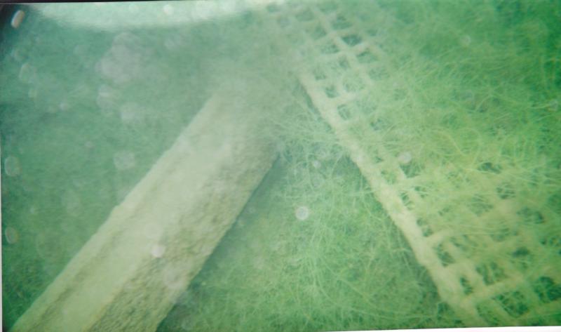 inside rock crusher