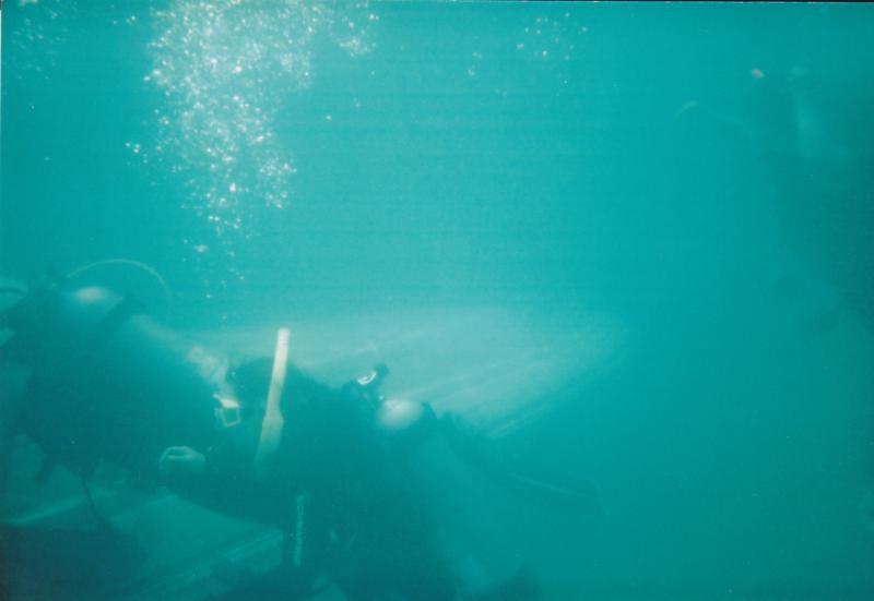divers on the boat