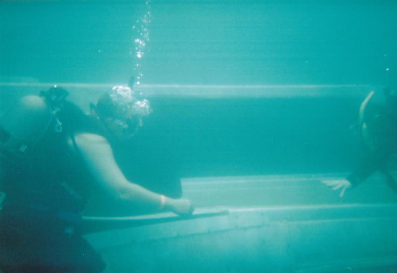 divers playing around the boat