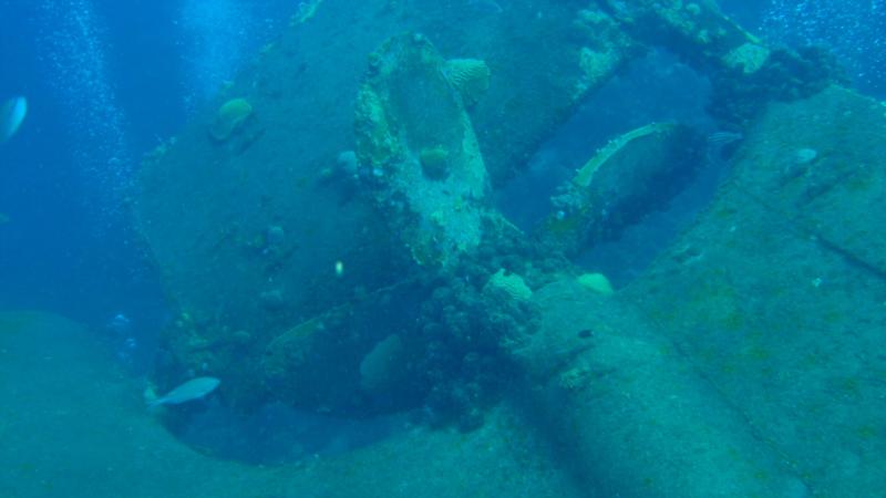 Hilma Hooker, Bonaire