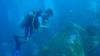 Hilma Hooker