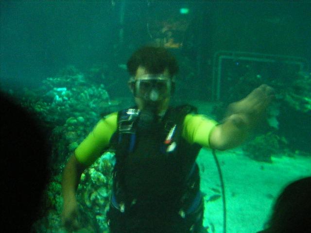 Epcot Aquarium