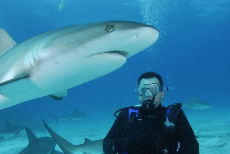 Shark Adventure Dive