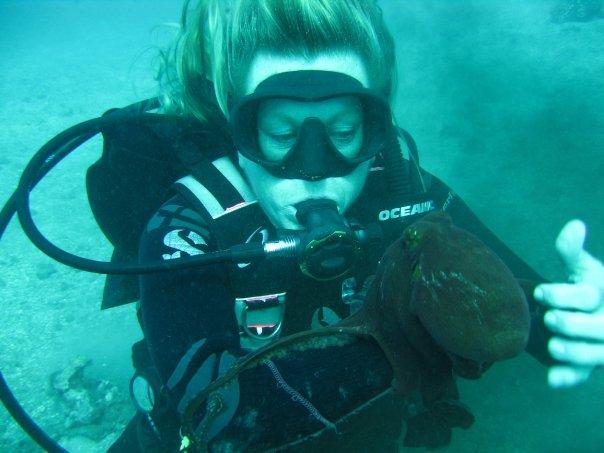 Octopus