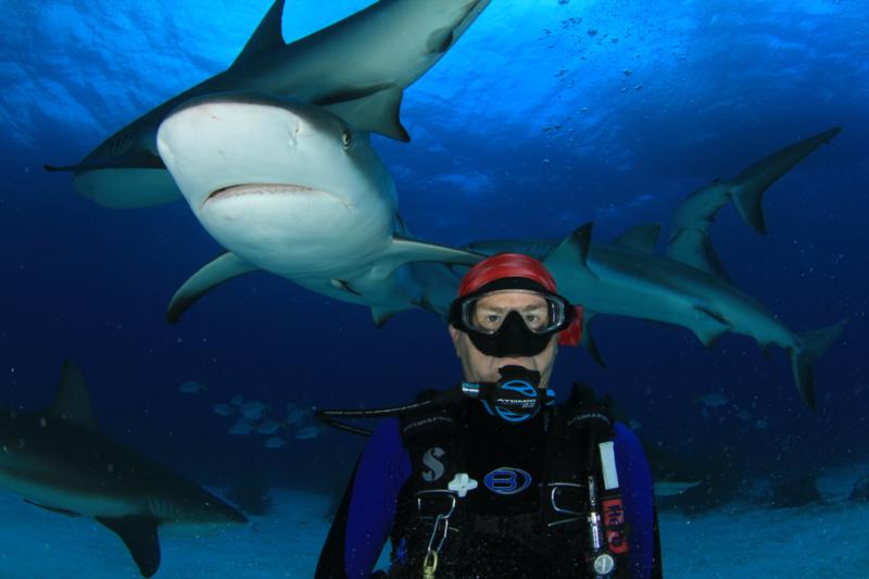 Shark Adventure, Bahamas, Oct 7, 2011