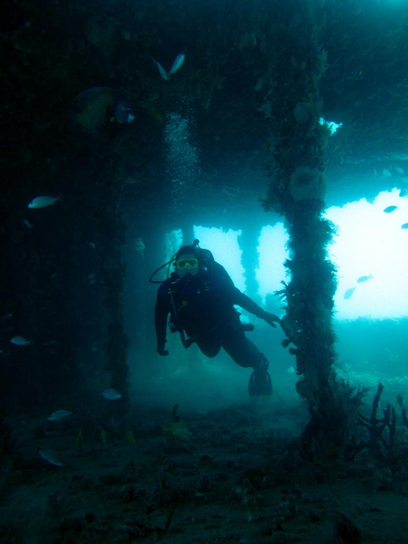 Exploring a wreck