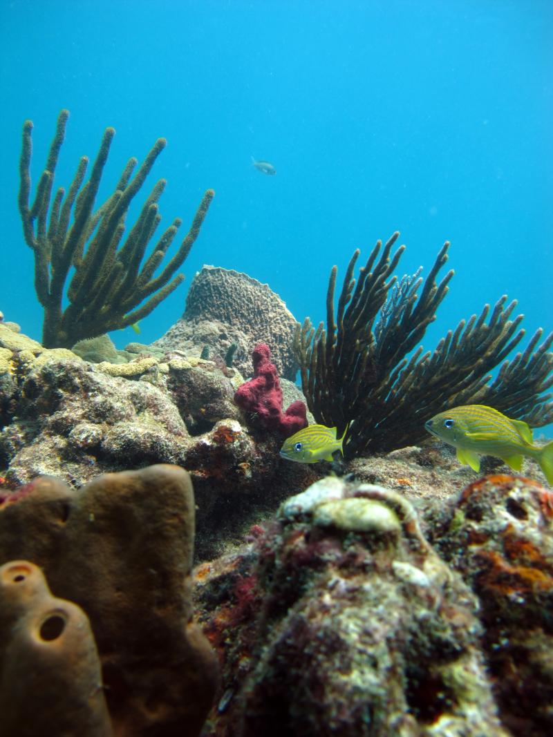 Off the coast of Ft Lauderdale