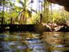 cenotes