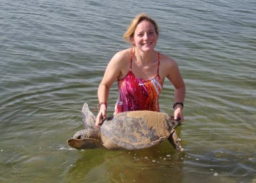 tagging sea turtles in Baja