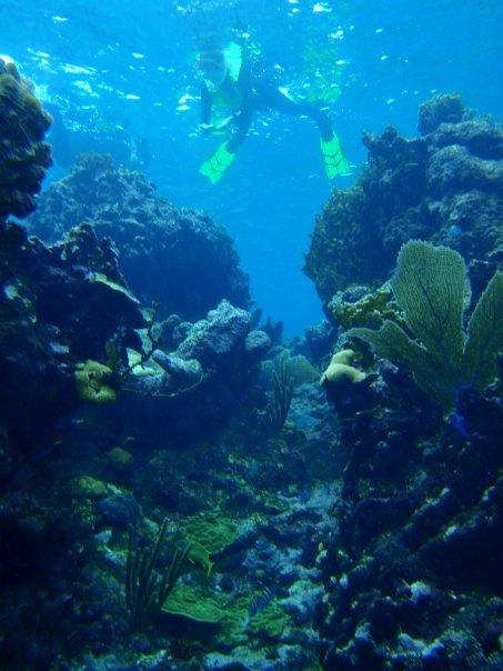 Belize Barrier Reef