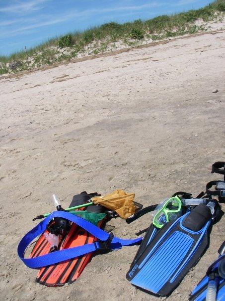 Beached fins