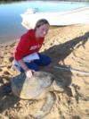 Tagging Turtles