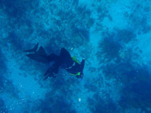 Free Dive Belize