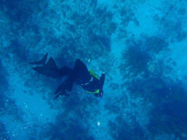 Free Dive Belize