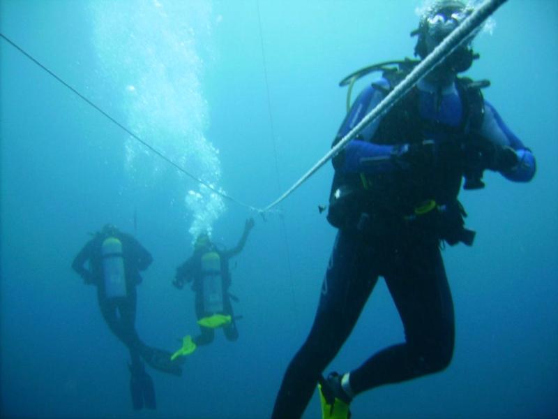 North Carolina Dive