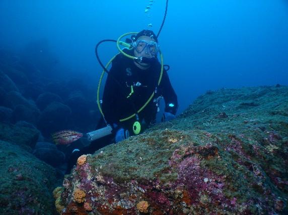 Me waiting for a whale shark to come by