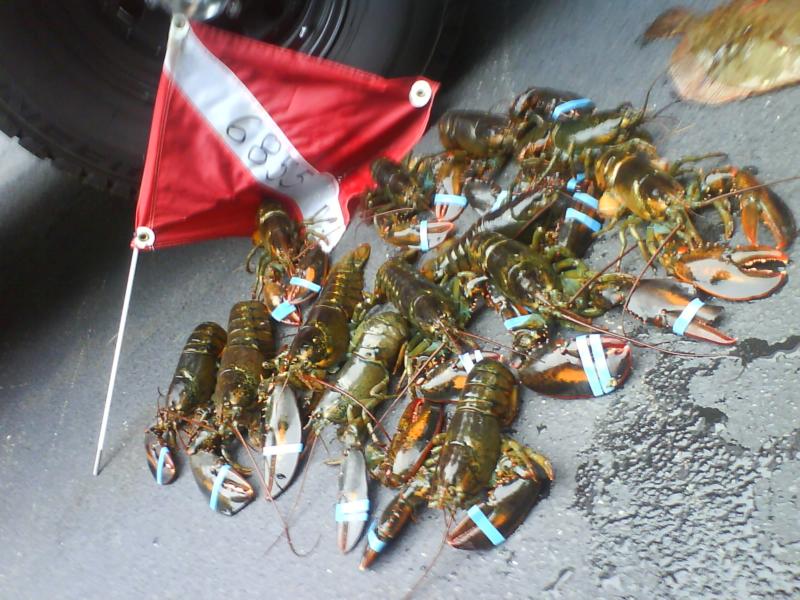 best haul in 2008