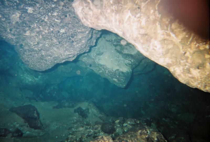 the hole in crystal river