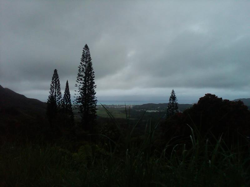 Bottom of Pali lookout