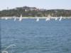 Sailing Races at Lake Travis (TX)