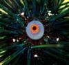 microshot of the sea urchin’s eye