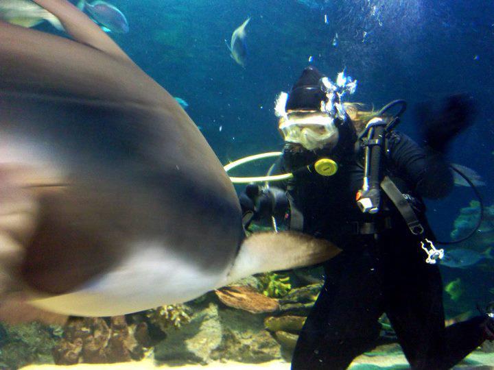 Shark diving in Turkey!