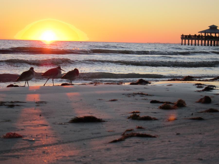 Ft Myers Beach Florida