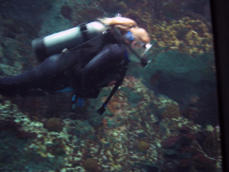 Baltimore Aquarium