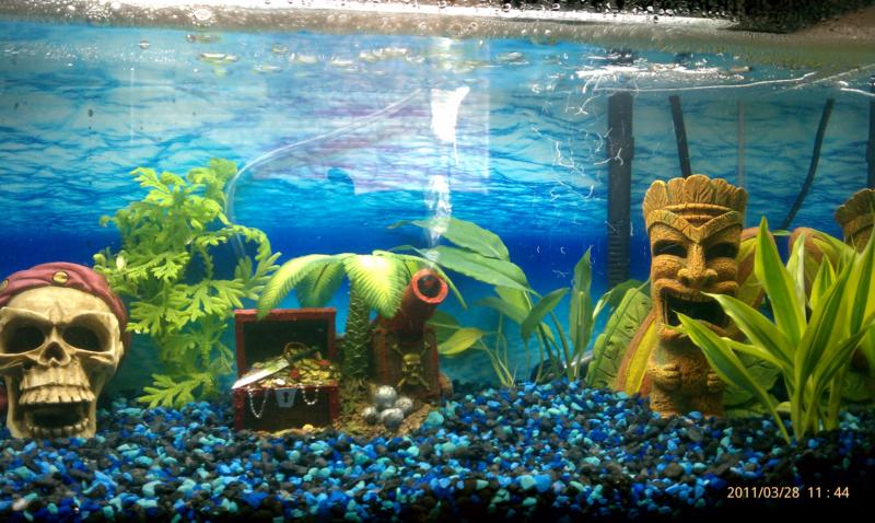 House Tank