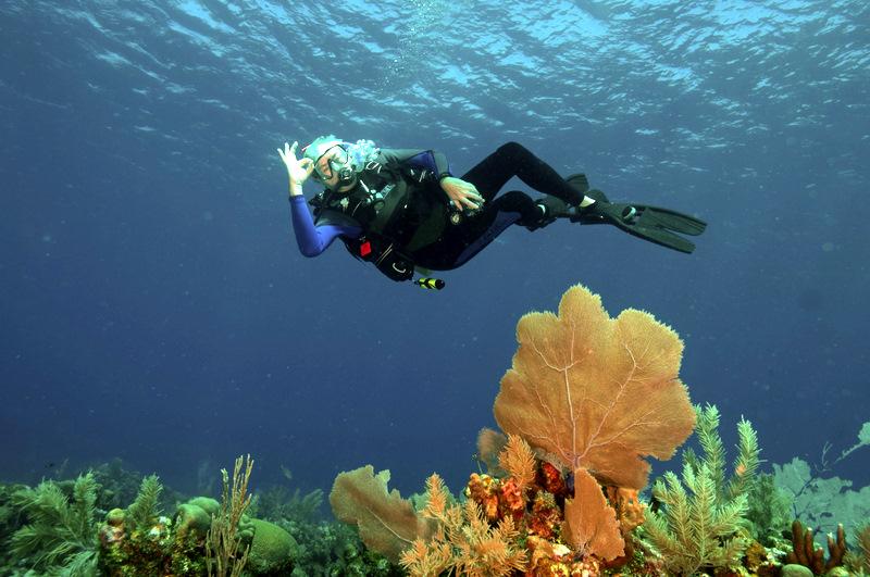 Loving diving