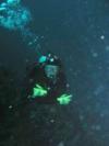 100’ plus  Port  Royal, Roatan