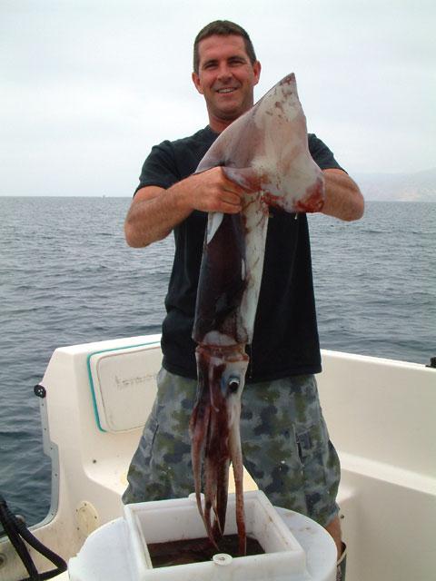 Giant Squid fishing off my boat, Channel Islands